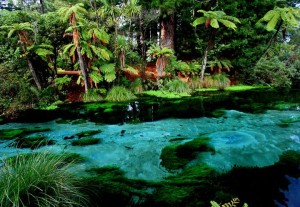 Rotorua, Neuseeland