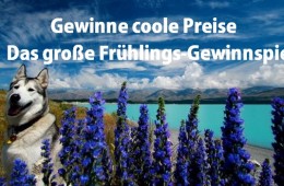 Gewinnspiel