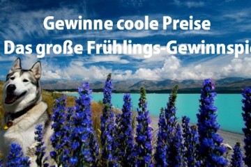 Gewinnspiel