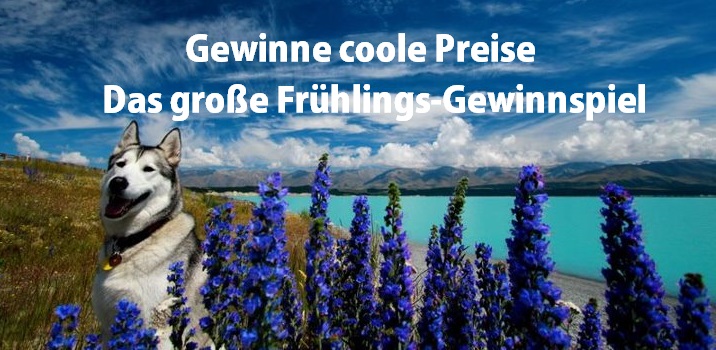 Gewinnspiel