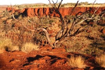 Australien Outback (c) Anja Knorr