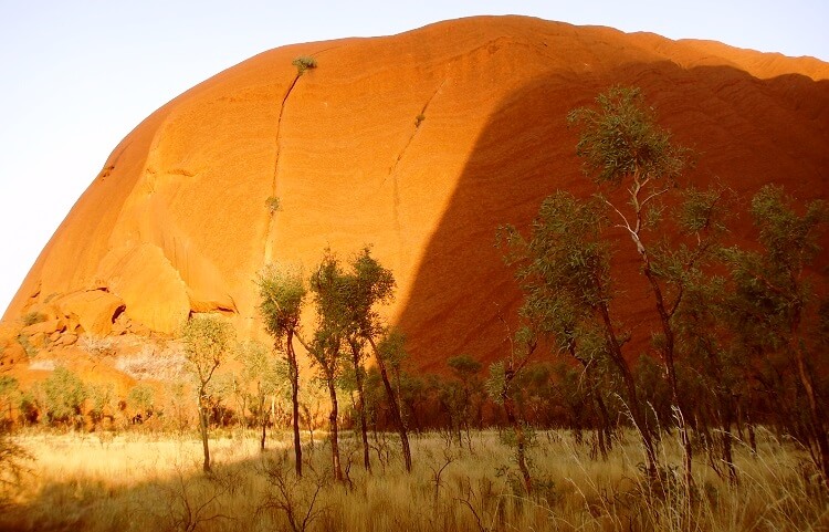 Australien Fakten Ulruru