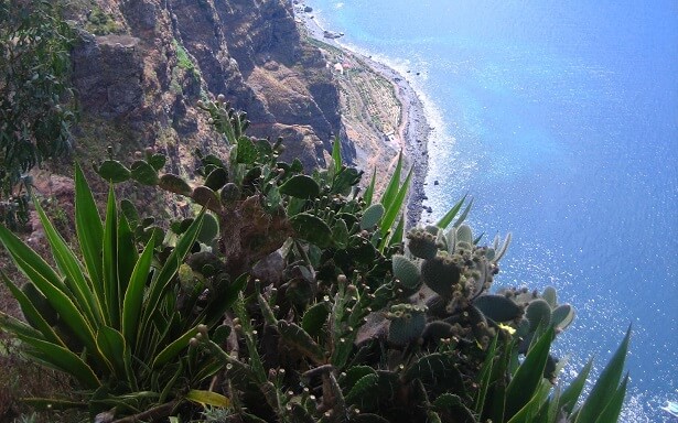 Cabo Girão Madeira