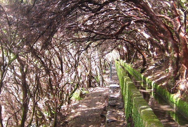 Levadas Madeira