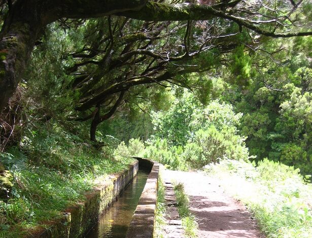 Levadas Madeira