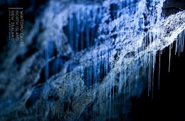 Waitomo Höhle Neuseeland (c) Shawn Huang