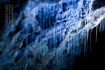 Waitomo Höhle Neuseeland (c) Shawn Huang