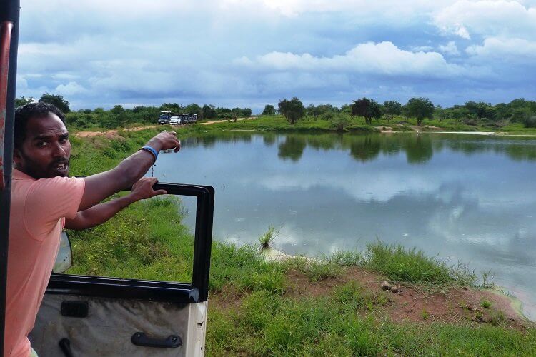 Udawalawe Nationalpark