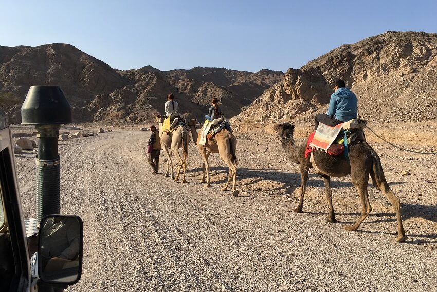 Negev Wüste Israel