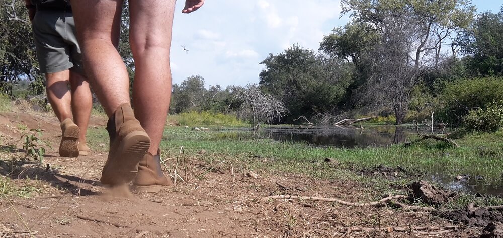 Bushwalking Safari Südafrika