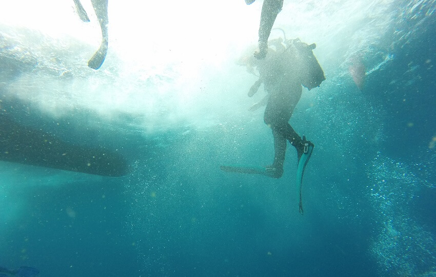 Divemaster Ausbildung