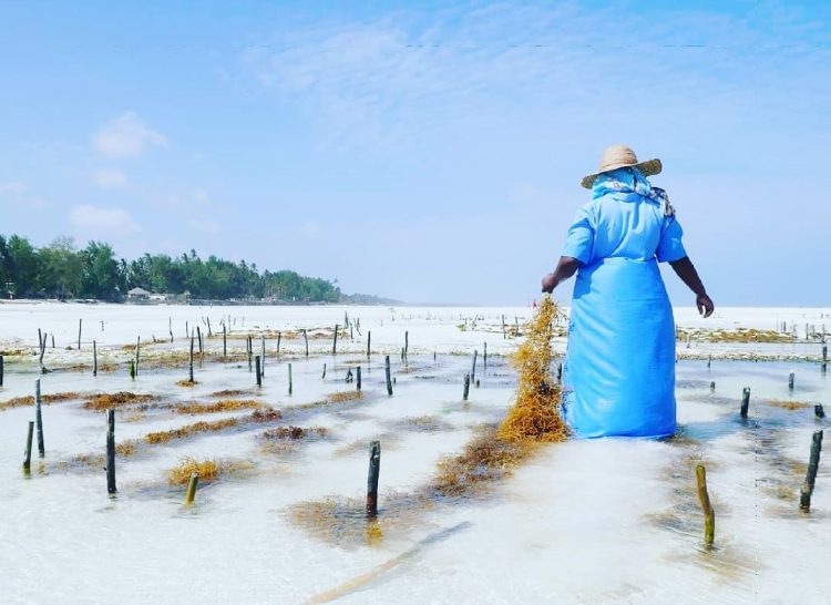 Happybackpacker Lohnt sich eine Reise nach Sansibar? - Happybackpacker