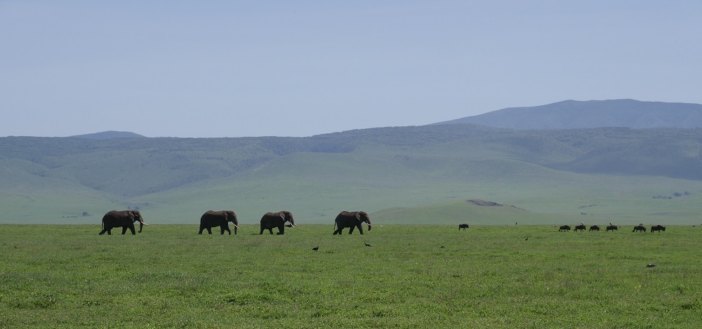 Ngorongoro Krater Tansania