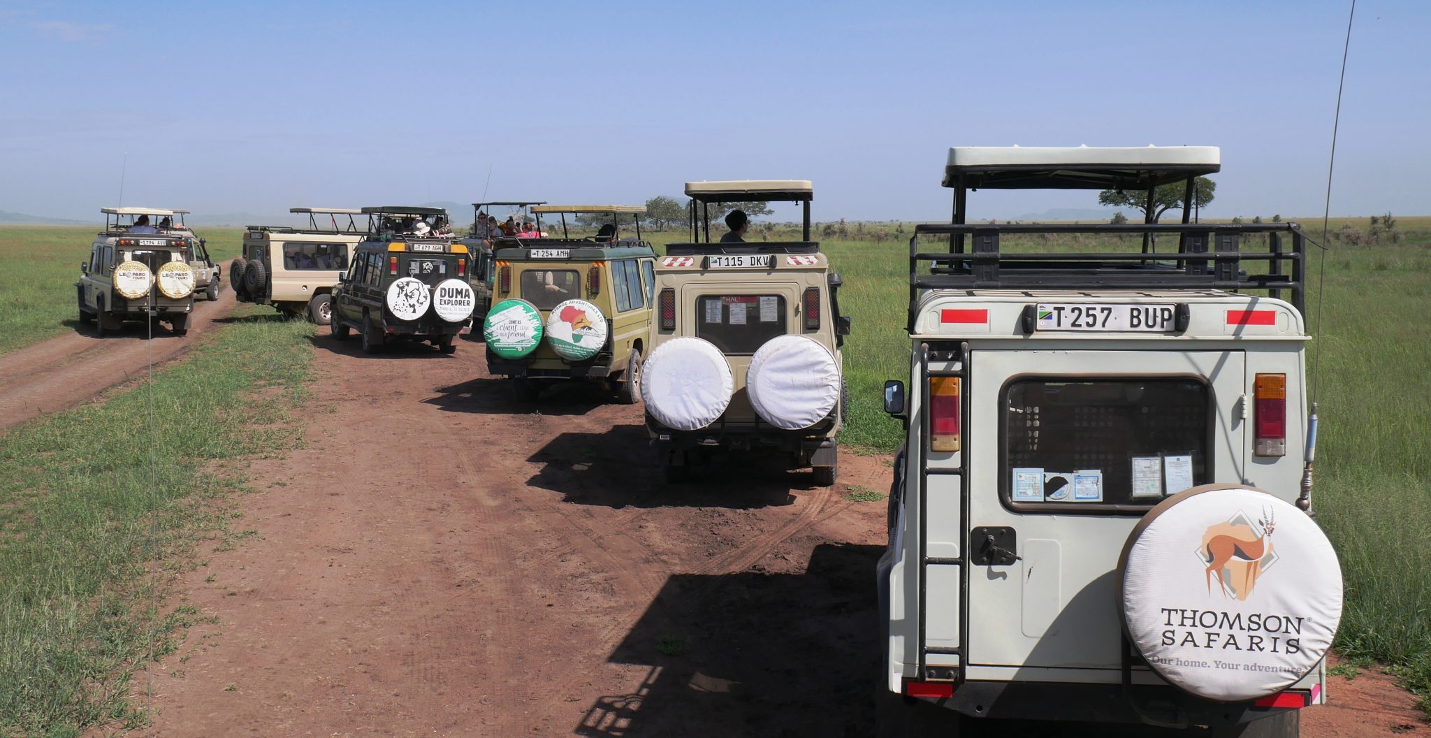 Serengeti Safari Tansania