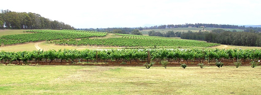 Hunter Valley