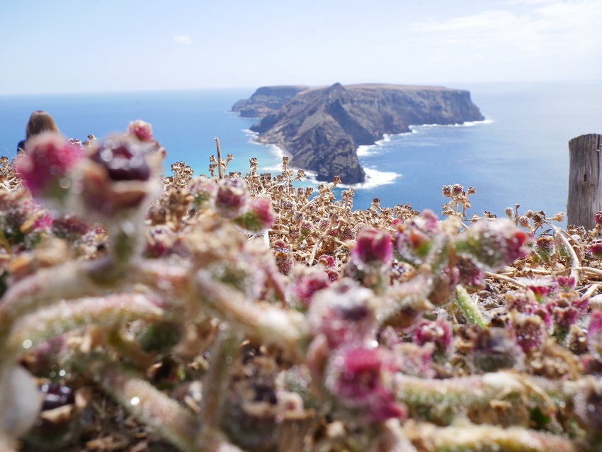 Porto Santo