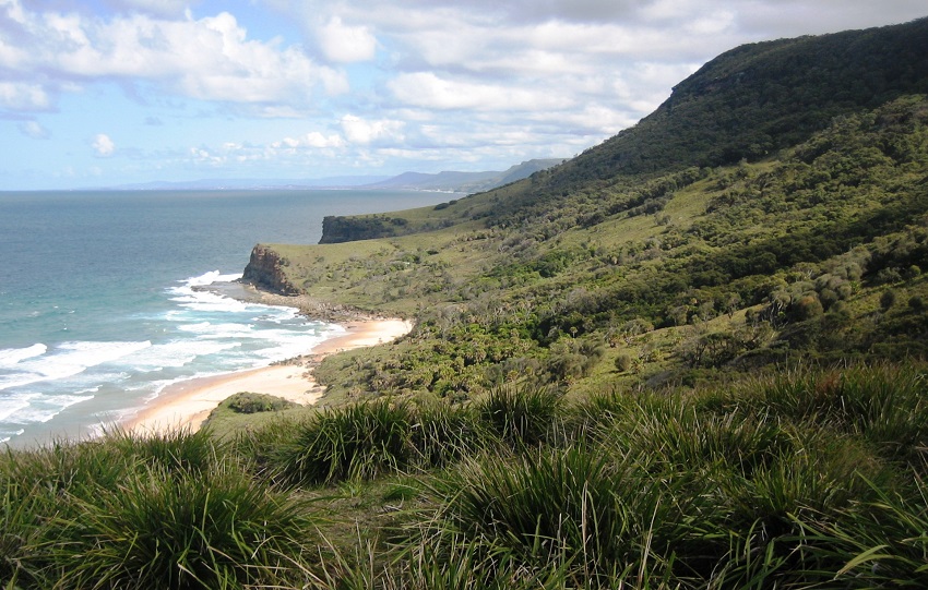 Royal Nationalpark New South Wales