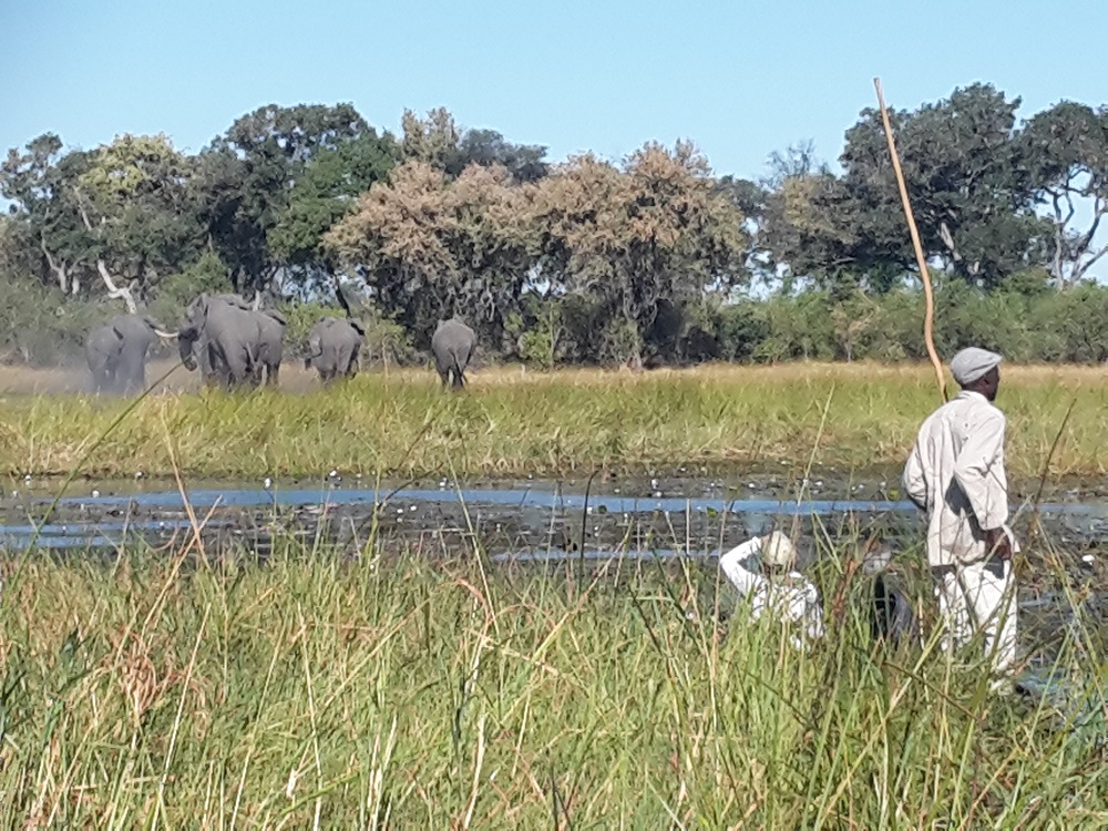 Botswana Okavango Delta