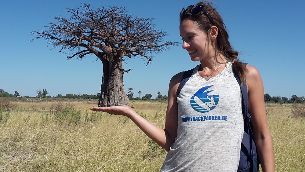 Botswana Baobab-Baum