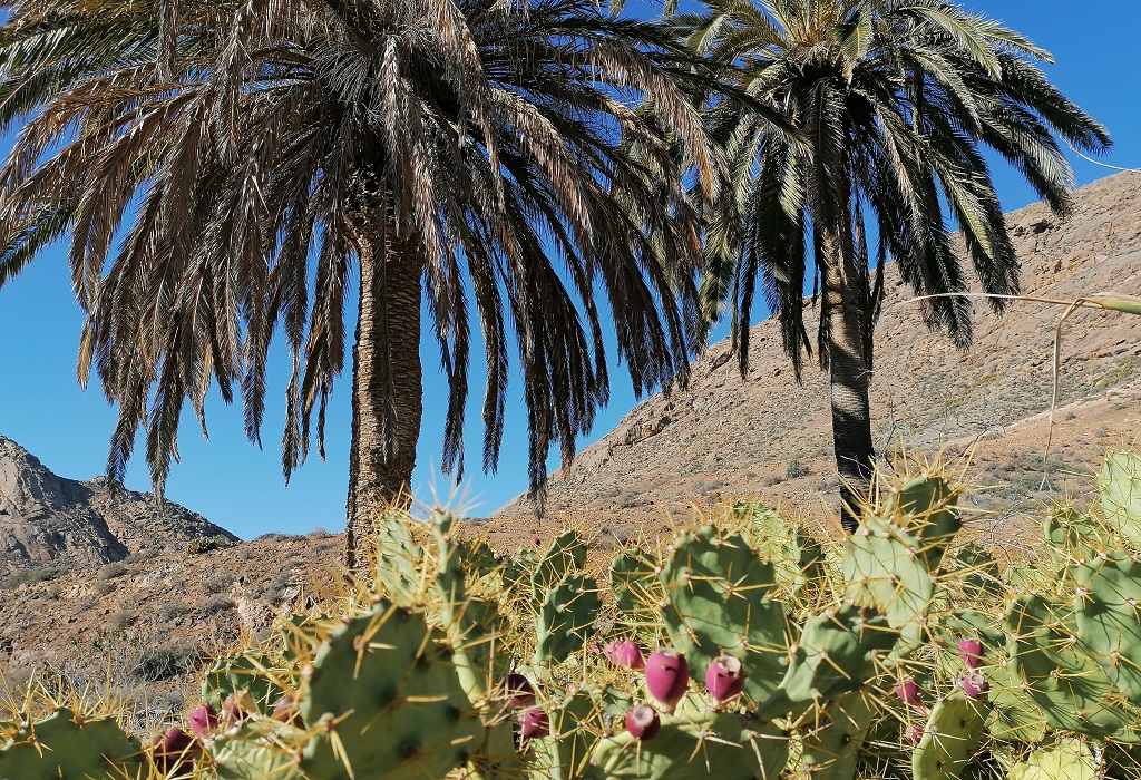 Fuerteventura Sehenswürdigkeiten