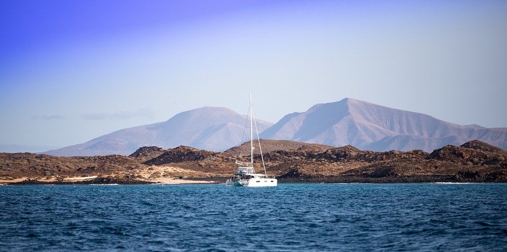 Lobos Fuerteventura