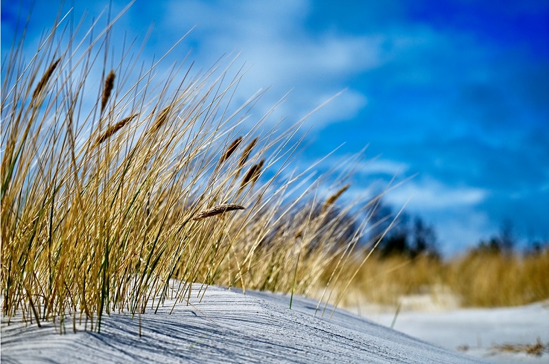 Ostsee im Herbst