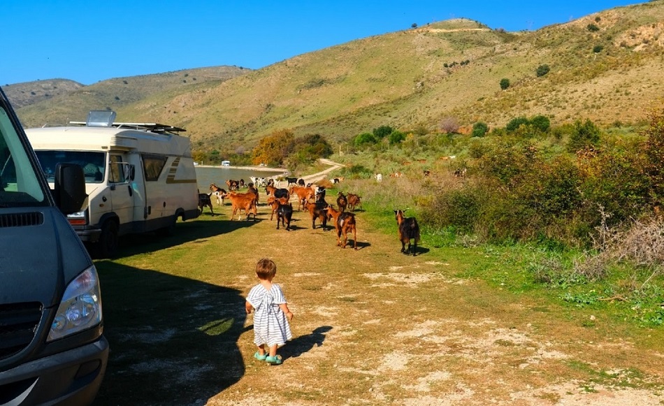 Vanlife mit kleinem Budget