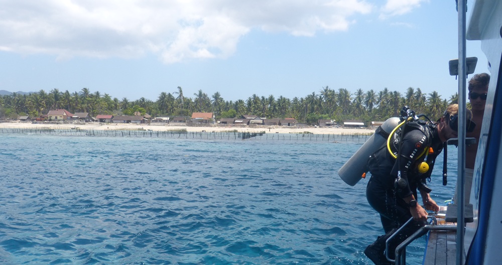 Tauchsafari bei Nusa Lembongang